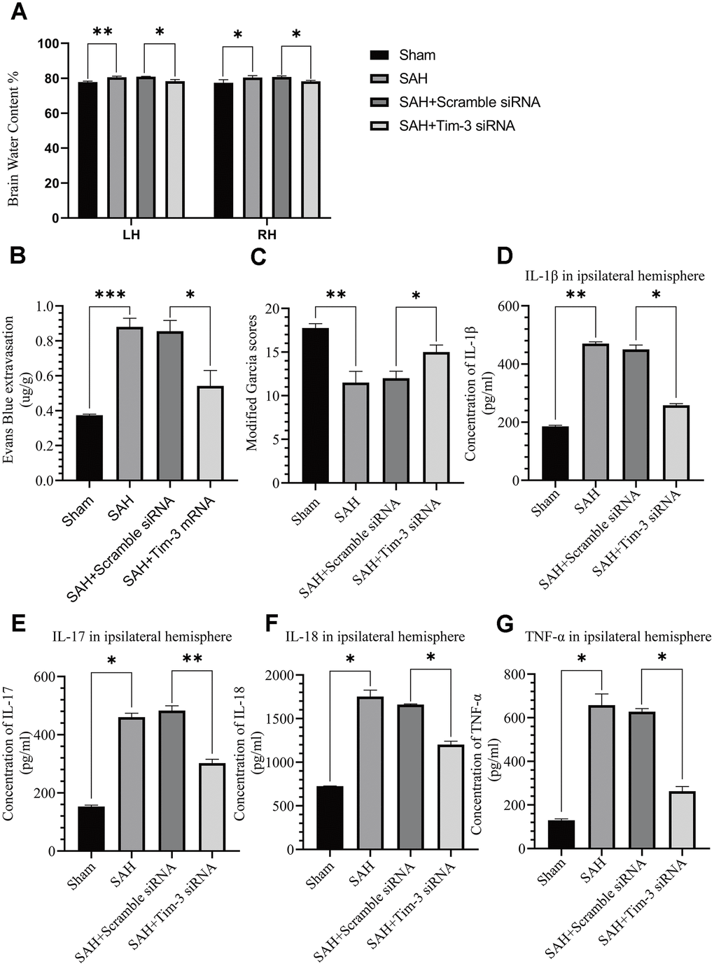 The effect of Tim-3 knockdown on brain edema, BBB disruption, neurological function, and inflammatory cytokine production after SAH. Tim-3 siRNA treatment significantly decreased BWC (A) and Evans Blue dye extravasation (B) at 24 h post-SAH and improved neurological function (C) (n = 6 in each group). Tim-3 siRNA treatment decreased the expression of the inflammatory cytokines, IL-1β (D), IL-17 (E), and IL-18 (F) TNF-α (G). Data are expressed as the mean ± SEM.*p 