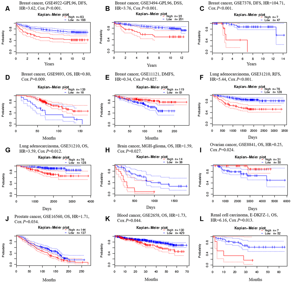 Kaplan-Meier survival curves generated from the PrognoScan database for TRIM28 expression in different tumor types. (A–E) DFS, DSS, DMFS and OS curves for five breast cancer cohorts (GSE4922-GPL96, GSE3494-GPL96, GSE7378, GSE9893 and GSE11121). (F, G) RFS and OS curves for lung cancer (GSE31210). (H) OS curve for brain cancer (MGH-glioma). (I) OS curve for ovarian cancer (GSE8841). (J) OS curve for prostate cancer (GSE16560). (K) OS curve for blood cancer (GSE2658). (L) OS curve for renal cell carcinoma. DFS, disease-free survival; DSS, disease-specific survival; DMFS, distant metastasis-free survival; OS, overall survival; RFS, recurrence-free survival; GSE, Gene Expression Omnibus data series; HR, hazard ratio.