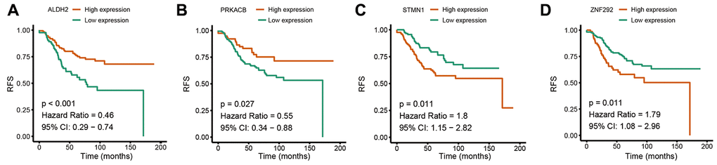 Univariate Cox regression analysis of the four prognostic genes in the signature. (A) ALDH2. (B) PRKACB. (C) STMN1. (D) ZNF292. Abbreviations: RFS (relapse-free survival).