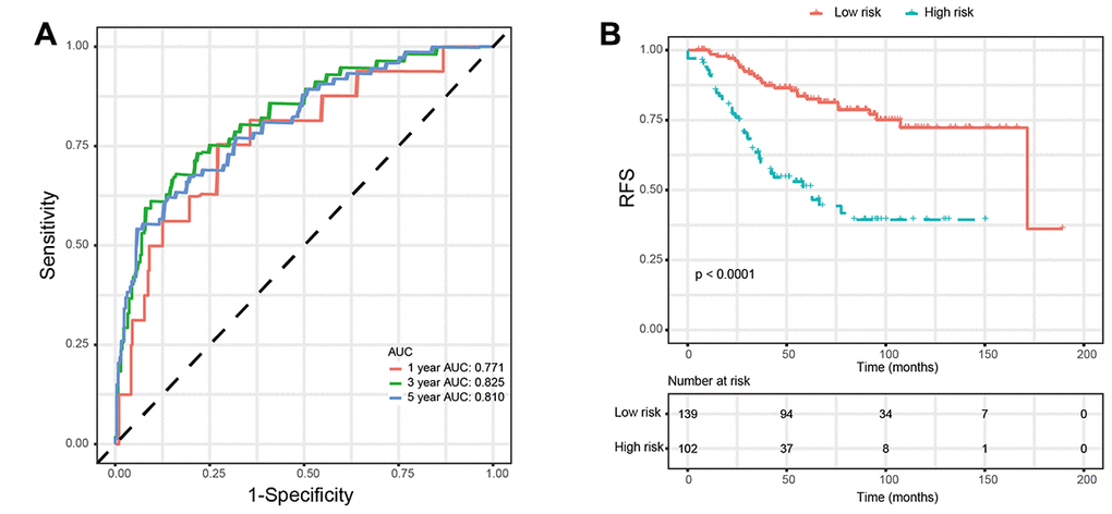 Validation of prognostic risk score model in training set. (A) Time-dependent ROC curves of the glycolysis-related signature. (B) Kaplan-Meier survival analysis of the glycolysis-related signature. Abbreviations: RFS (relapse-free survival).