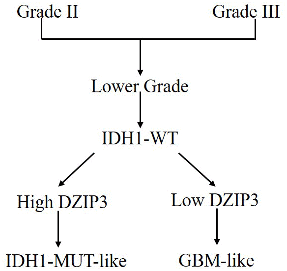 class="figure-viewer-img"