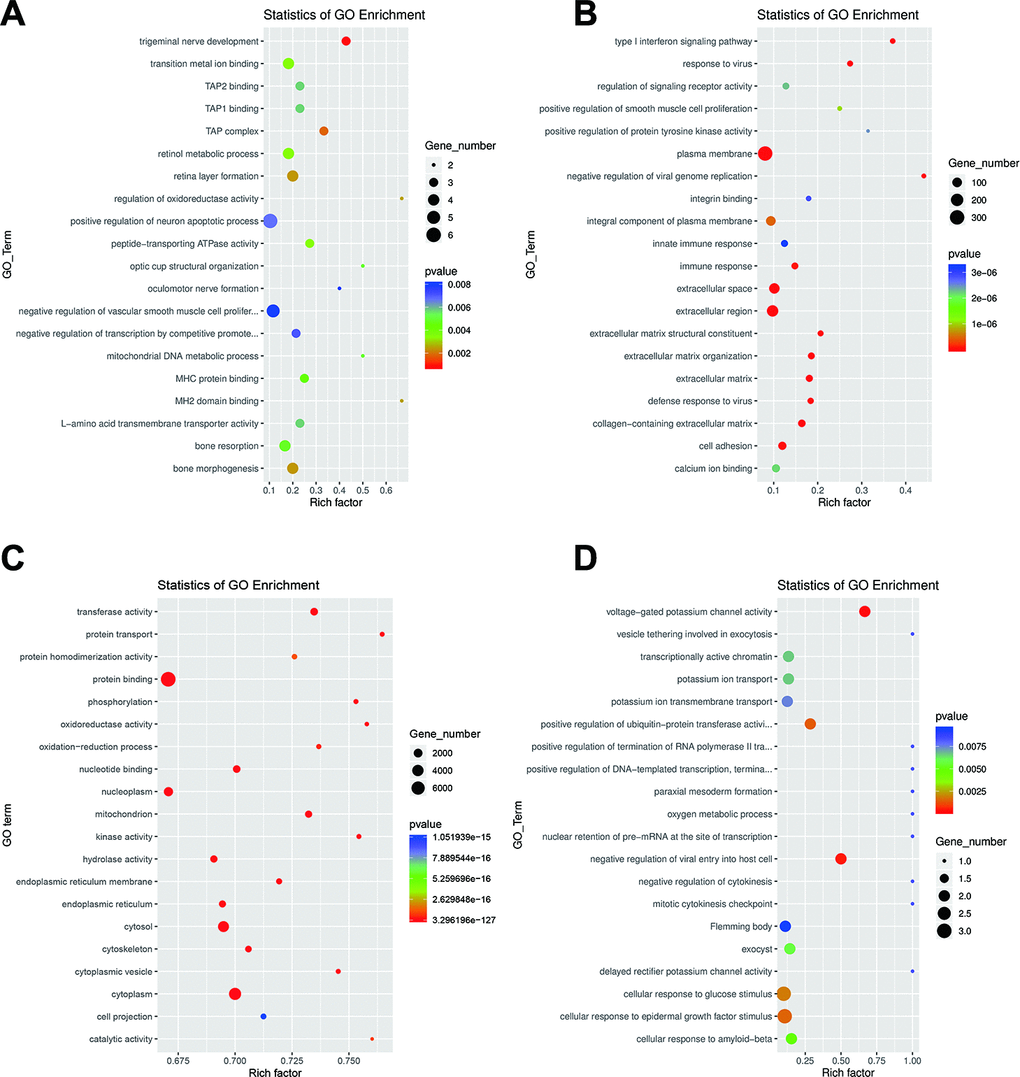 GO analysis of dysregulated RNAs. Top 20 GO terms for the differentially expressed lncRNAs (A), mRNAs (B), miRNAs (C) and circRNAs (D). The color and size of each circle represent the P-value and number of genes, respectively.