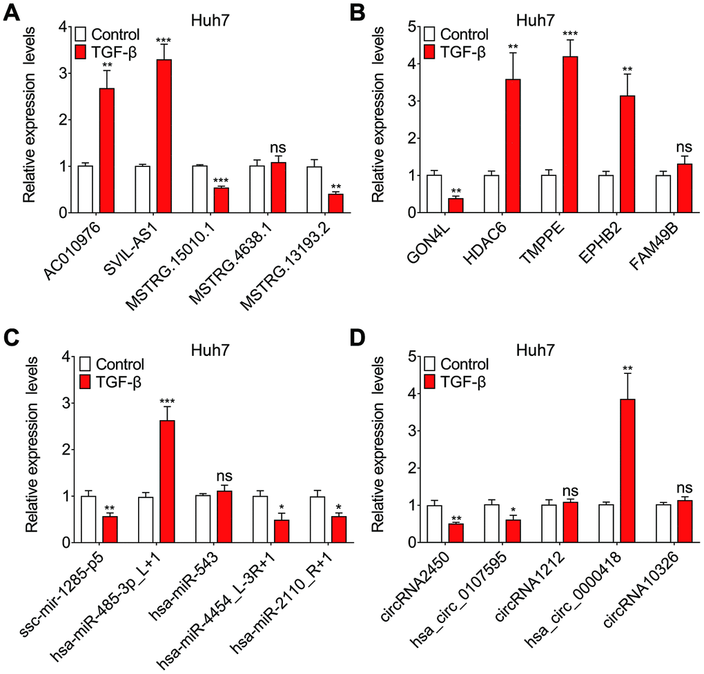 Validation of sequencing data using qRT-PCR. Relative expression levels of five randomly selected lncRNAs (A), mRNAs (B), miRNAs (C) and circRNAs (D), assessed by qRT-PCR.