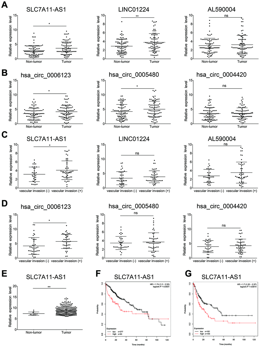 The lncRNAs SLC7A11-AS1 and hsa