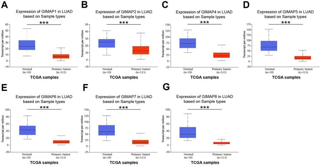 mRNA expression of distinct GIMAPs in LUAD tissues and adjacent normal lung tissues (UALCAN). mRNA expressions of GIMAPs family members were found to be under-expressed in primary LUAD tissues compared to normal samples (A–G). *** p
