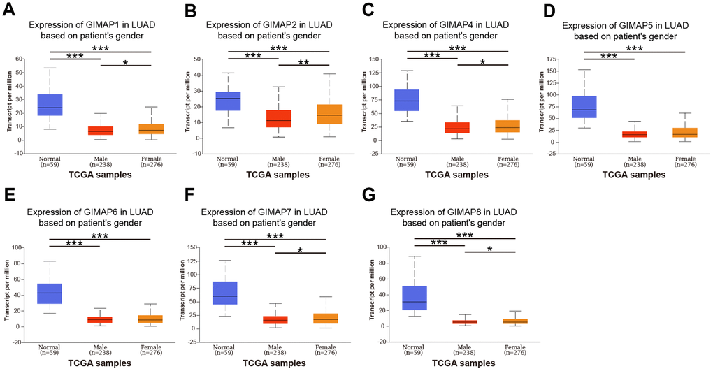 Relationship between mRNA expression of distinct GIMAPs and patient’s gender of LUAD (UALCAN). mRNA expressions of GIMAPs family members were remarkably correlated with patient’s gender, male patients tended to express lower mRNA expression (A–G). *ppp