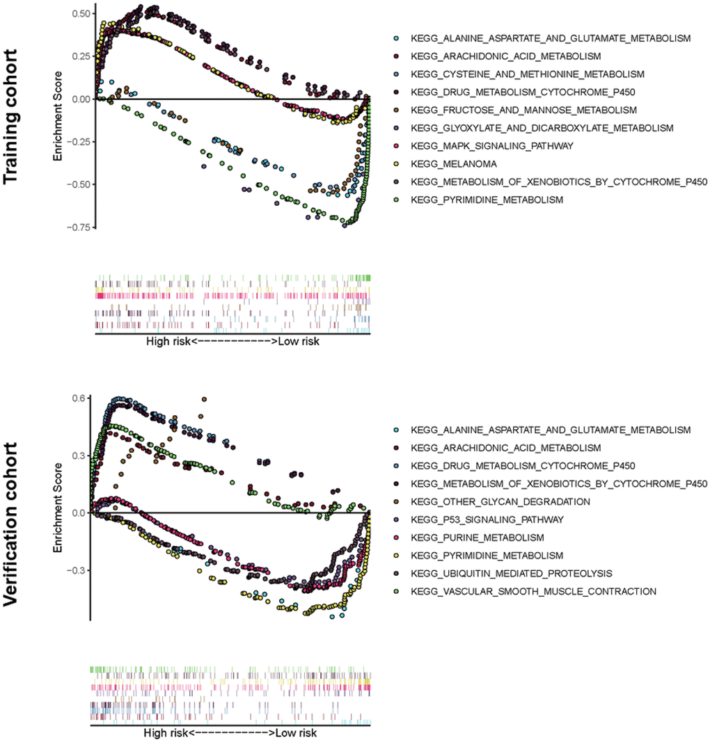 Significantly enriched KEGG pathways in training or verification cohort by GSEA. Above the horizontal axis indicated the pathways are in the high-risk group, and below the horizontal axis indicated that the pathways are in the low-risk group.