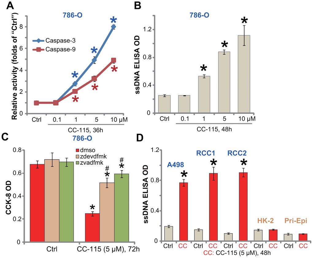 CC-115 induces apoptosis activation in human RCC cells. Established human RCC cell lines (786-O and A498), the primary human RCC cells (“RCC1/2”), HK-2 tubular epithelial cells and the primary human renal epithelial cells (“Pri-Epi”) were treated with indicated concentration of CC-115 for the applied time periods, cell apoptosis was tested by the assays mentioned in the text (A, B, D); For (C), 786-O cells were pretreated for 30 min with 50 μM of z-VAD-fmk (“zvadfmk”) or z-DEVD-fmk (“zdevdfmk”) before CC-115 treatment, and cell viability analyzed by CCK-8 assay. *P #P C).