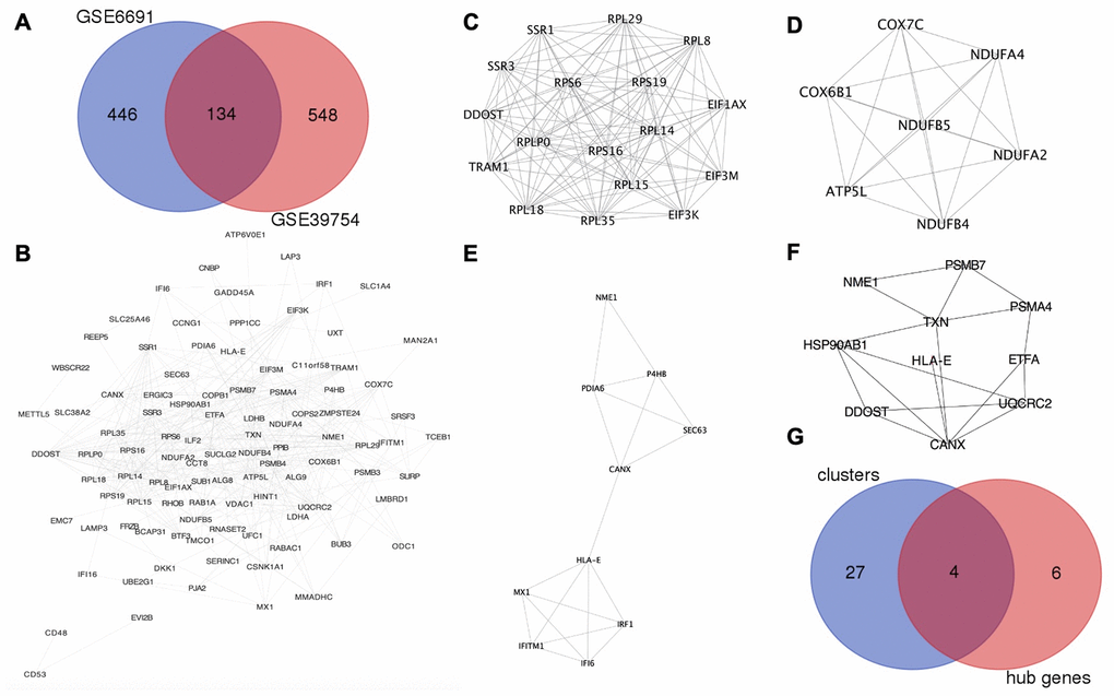 HLA-E is a key gene in MM. (A) Identification of upregulated DEGs in GSE6691 and GSE39754 datasets (Log2FC >1.5, P B) The protein-protein interaction (PPI) network between co-upregulated DEGs in MM. (C–E). Modules in the PPI network with scores >4 and HLA-E in the cluster 3 (Figure 1E). (F). HLA-E is one of the hub genes in PPI network. (G) Overlapping genes between the key clusters and hub genes.