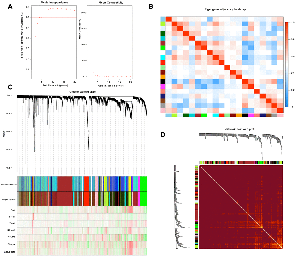 Weighted Gene Co Expression Network Analysis Wgcna And Identification