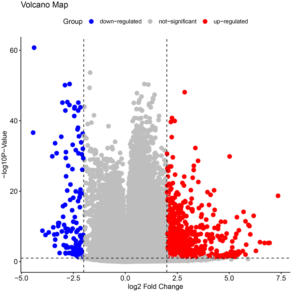 The volcano plots of all the DEGs in GSE109142. In the map, each blue spot represents a down-regulated gene, whereas each red spot represents an up-regulated gene. A clear demarcation can be identified between up-regulated genes and down-regulated genes.