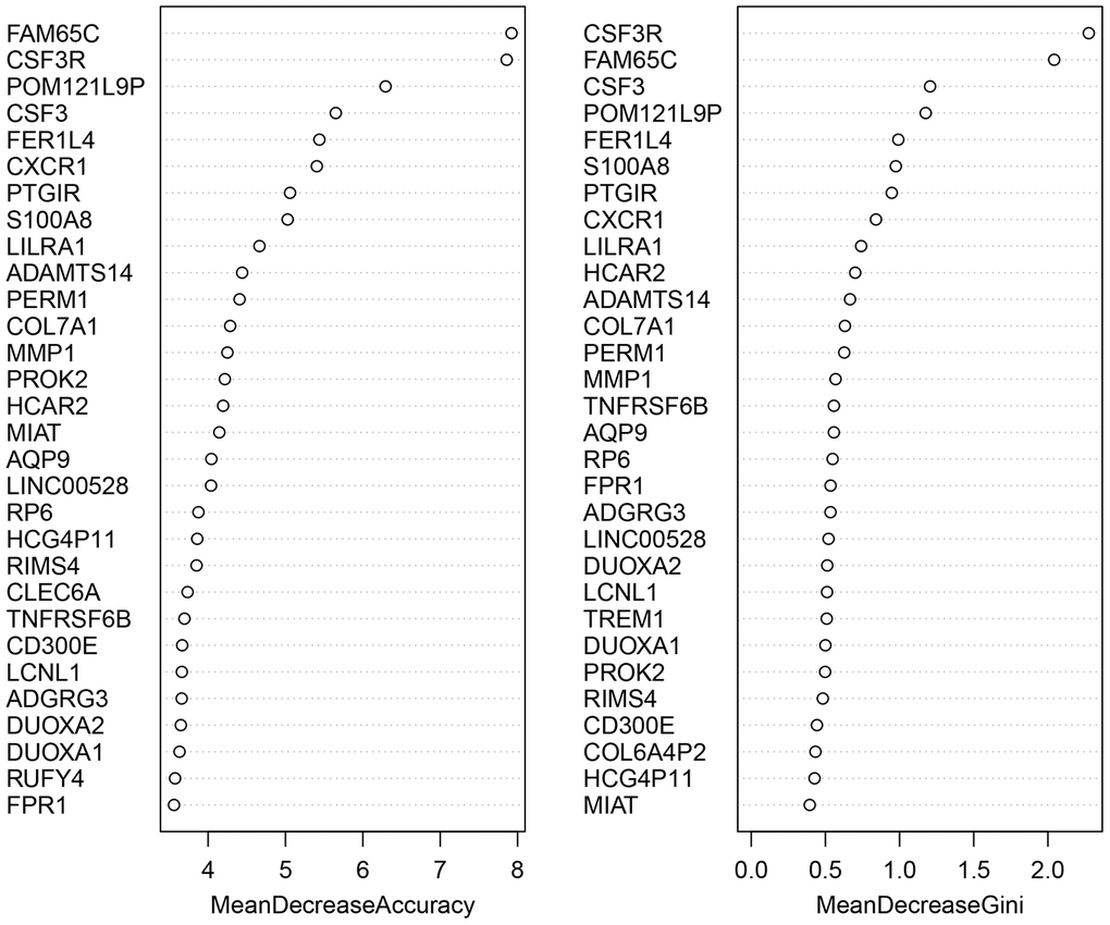 The screening results of the top-30 UC-related DEGs by random forest classifier. All the genes are sorted by the value of “Mean Decrease Accuracy” and “Mean Decrease Gini”. The greater the two values are, the closer relationship with UC the DEG has.