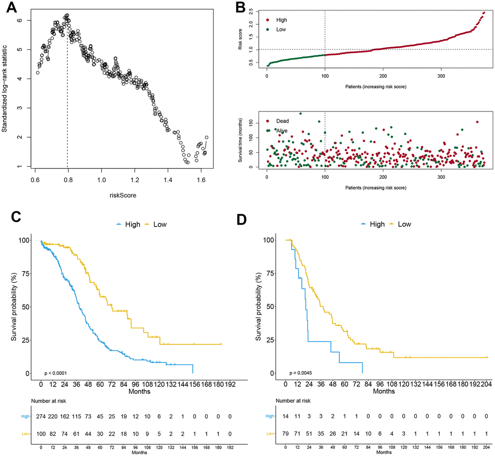 Construction of APP signature. The optimal cutoff calculated by the maximally selected rank statistics (A), risk score analysis (B) including risk curve and distribution map of survival status in the training cohort, and the Kaplan-Meier curve grouped by APP signature in training cohort (C) and external validation cohort (D).