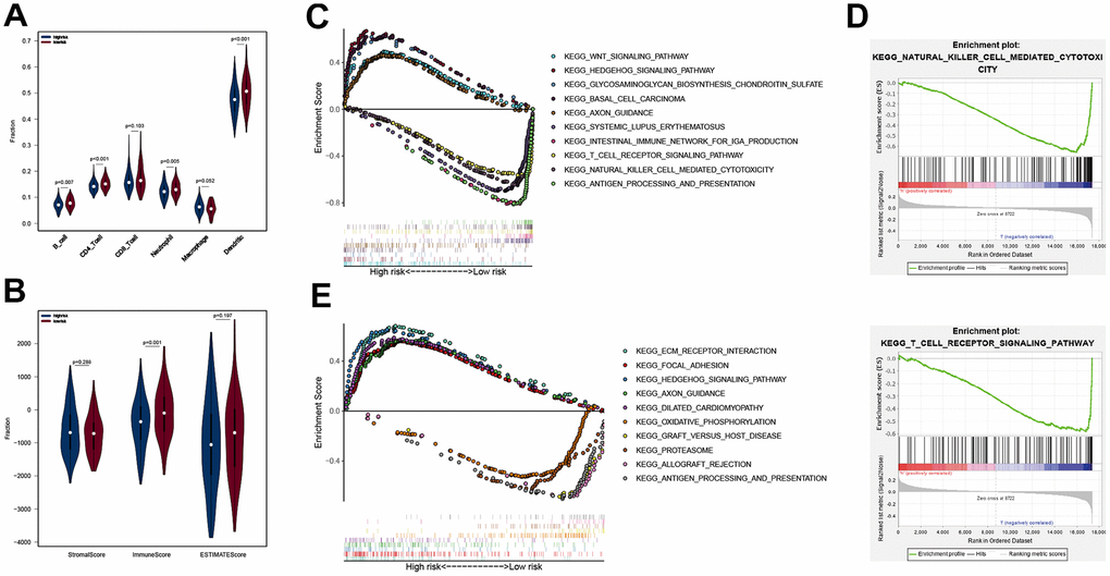 Analysis of immune cell infiltration and GSEA in different subgroups. The B cell, CD4 T cell, neutrophil and Dendritic scores of the two subgroups in TCGA cohort (A), the StromalScore, ImmunesSore, and ESTIMATEScore of the two subgroups in TCGA cohort (B); ten KEGG pathways analyzed by GSEA (C), in which groups was separated by APP signature, and two immune-related KEGG pathways (D); ten KEGG pathways analyzed by GSEA (E), in which groups was grouped by DEG signature.
