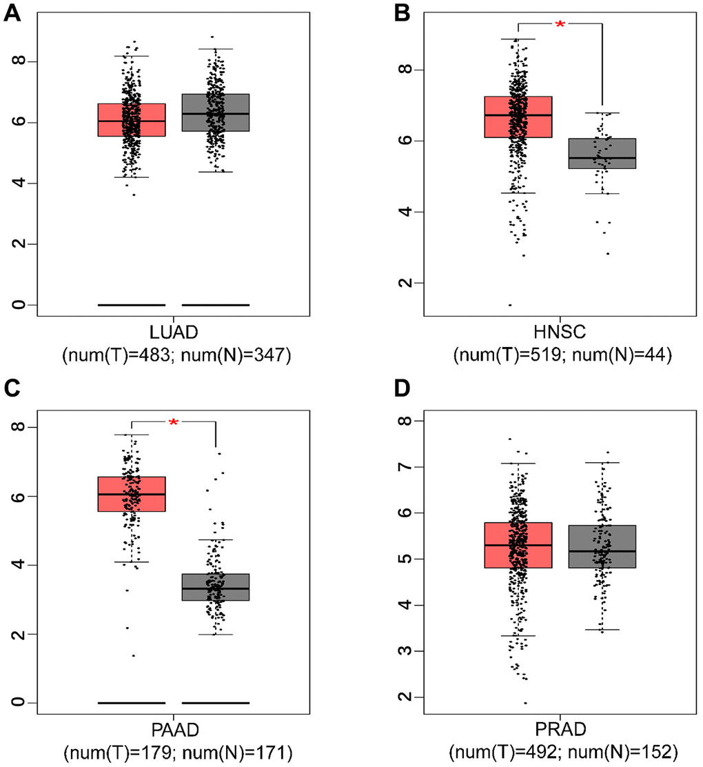 The expression level of HIF-1α in tumor tissues and adjacent non-tumor tissues. ((A) lung adenocarcinoma; (B) head and neck squamous cell carcinoma; (C) pancreatic adenocarcinoma; (D) prostate adenocarcinoma; * P 