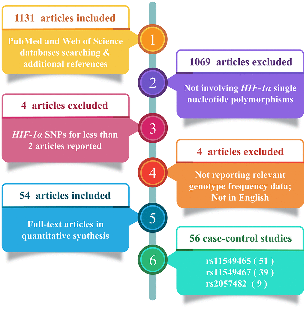 Flow diagram of the study selection process.