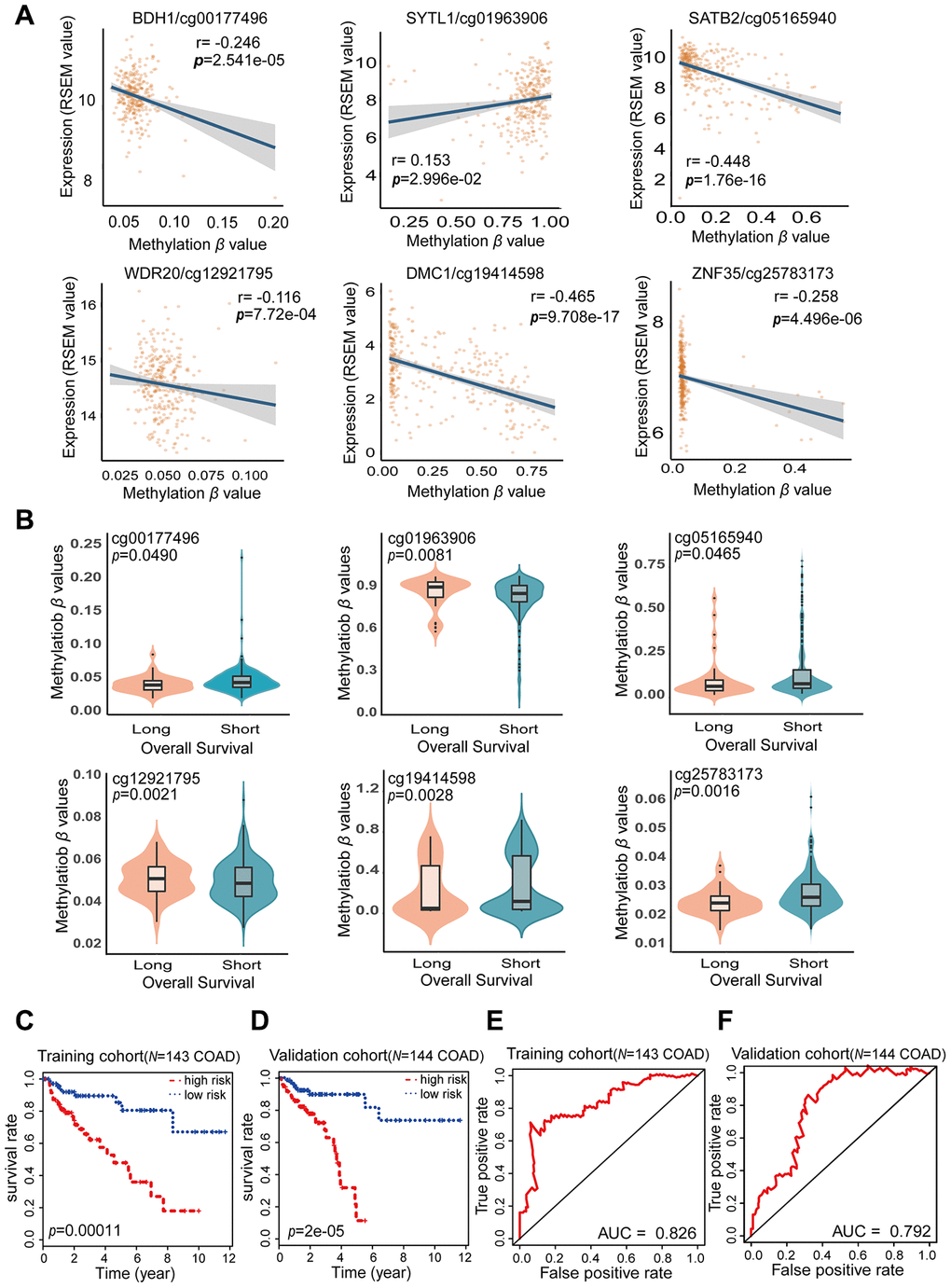 Characteristics of the potential prognostic biomarkers and evaluation of the combined prognostic model based on six CpG sites. (A) The correlations between the methylation β levels of the prognostic biomarkers and the expression of the corresponding genes were evaluated with Pearson correlation tests. Gene expression is presented as the RSEM normalized count converted by log2 (x + 1). (B) Violin plots of the methylation β values for patients with longer (> 5 years) and shorter (C, D) Kaplan-Meier analysis was performed on the OS of high-risk and low-risk patients using our prognostic model in the training (N = 143) (C) and validation (N = 144) (D) cohorts from TCGA. The difference in OS between the two groups was determined with a log-rank test. Higher risk scores were associated with significantly poorer OS. Patients were divided into low-risk and high-risk groups using the median risk score as the cut-off. (E, F) ROC curves showing the sensitivity and specificity of the prognostic model in predicting patients’ OS in the training (N = 143) (E) and validation (N = 144) (F) cohorts from TCGA.