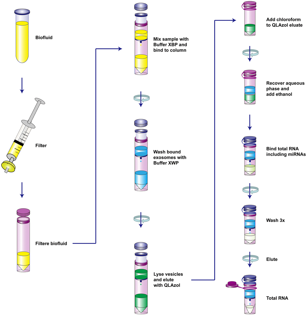 The schematic diagram of the isolation of serum vesicles and RNA extraction.