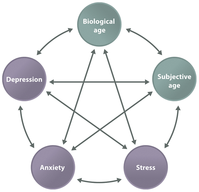 The mind-body connection. Biological age and subjective age are connected with a variety of diseases and may be directly linked.