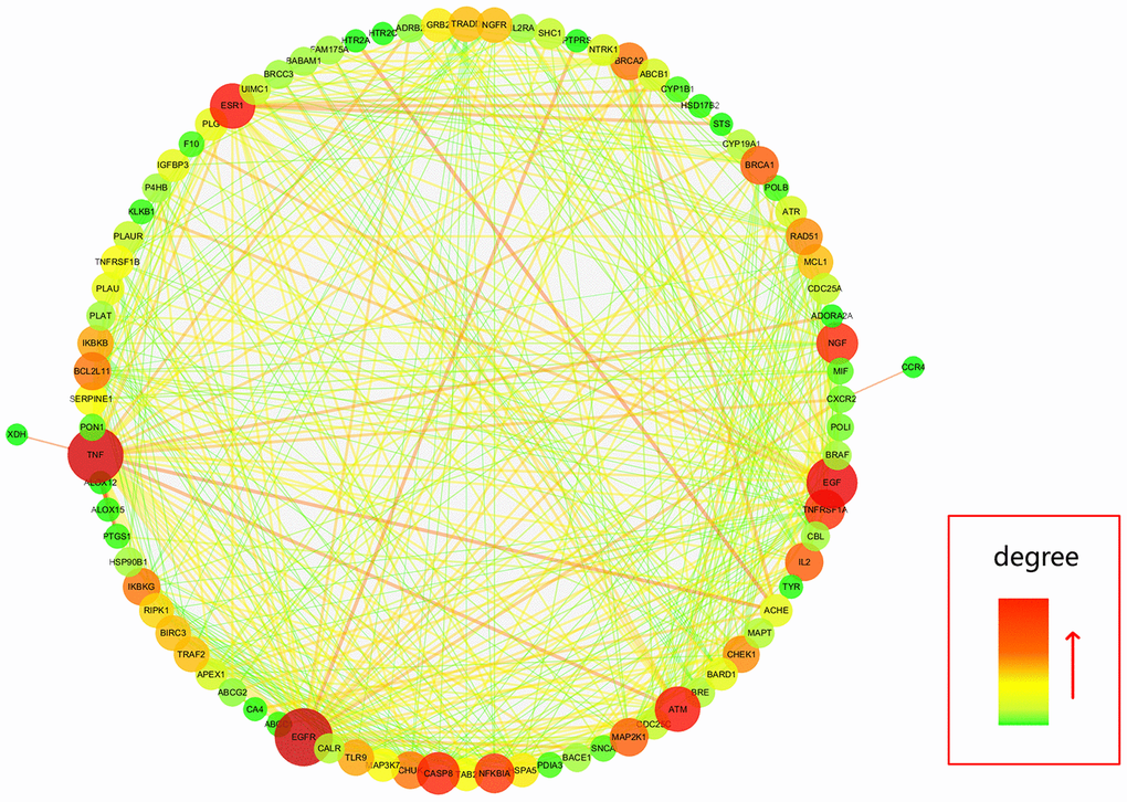 All candidate targets of calycosin-anti-meningitis were collected for construction of a PPI network.