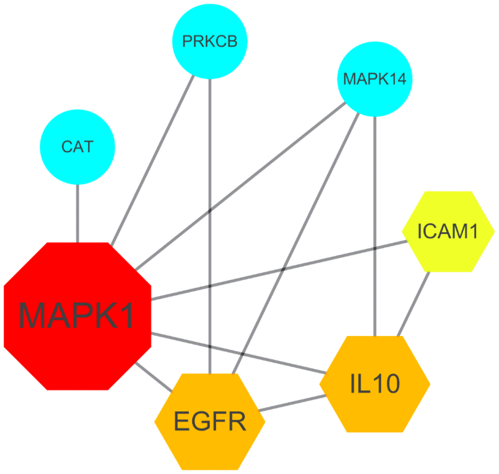 Gene network of the seven core targets of vitamin A against SARS-CoV-2