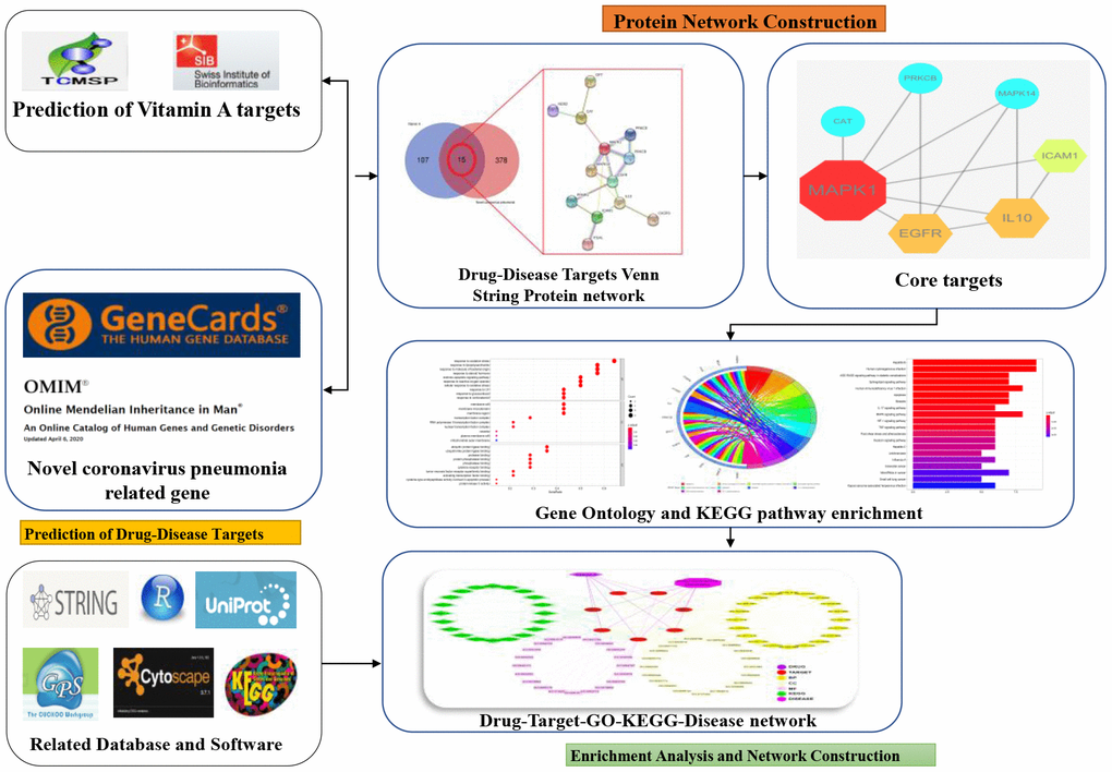 A schematic diagram to summarize the workflow of the study.