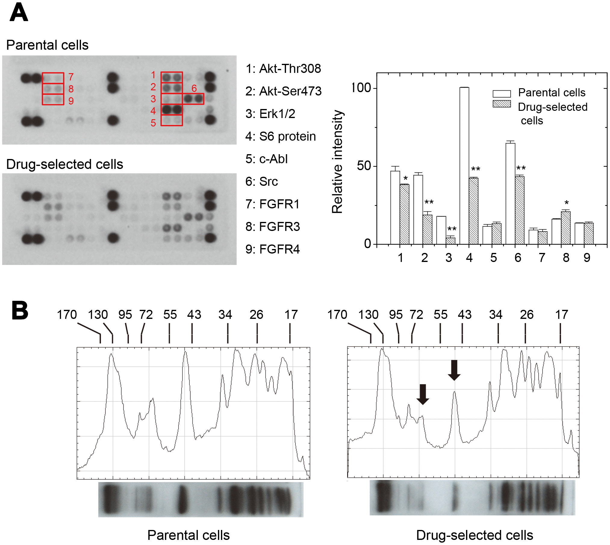 class="figure-viewer-img"