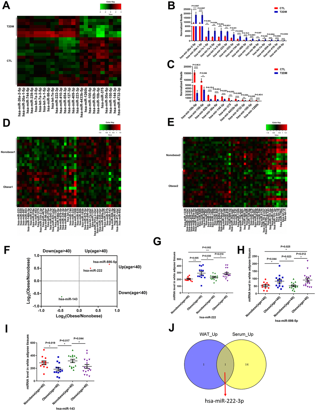MiR-222 expression is significantly increased in the serum of T2DM patients and the white adipose tissues of obese insulin-resistant patients. (A) Heat map shows the differential expression of 25 miRNAs in the serum samples from T2DM patients (T2DM, n=7) and healthy subjects (CTL, n=16) using P  2 or B, C) The bar graphs show the normalized reads of the 15 upregulated and the 10 downregulated miRNAs in the serum of T2DM patients compared to the serum of healthy subjects. (D) The heat map shows the differential expression of 42 miRNAs in the WAT samples from the young non-obese group (Non-obese 1; n=11) and the young obese group (Obese 1; n=13) using P E) The heat map shows the differential expression of 49 miRNAs in the WAT samples from the old non-obese group (Non-obese 2; n=14) and the old obese group (Obese 2; n=16) using P F) The scatter plot shows the 3 miRNAs, miR-222, miR-143, and miR-886-5p that are differentially regulated consistently in the old and young obese individuals compared to the corresponding non-obese individuals. (G–I) The dot plots show the levels of (G) miR-222, (H) miR-886-5p, and (I) miR-143 in the WAT samples from the young non-obese, young obese, old non-obese, and old obese groups. (J) The Venn diagram shows that miR-222 is the only miRNA that is upregulated in both the T2DM patient serum (15 upregulated miRNAs) and obese (young and old) WAT (2 upregulated miRNAs) samples. Note: The results in (A–C) are based on the GSE90028 dataset. The results in (D–I) are based on the GSE25402 dataset. Note: T2DM, type 2 diabetes mellitus; WAT, white adipose tissue; Data are presented as the means ± SE; *P **P ***P 