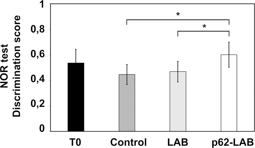 Novel Object Recognition (NOR) test. The effect of p62-LAB treatment on mice memory performance was assessed by the NOR test. The discrimination scores obtained for the four groups of mice are reported. The asterisk indicates statistical significance (p