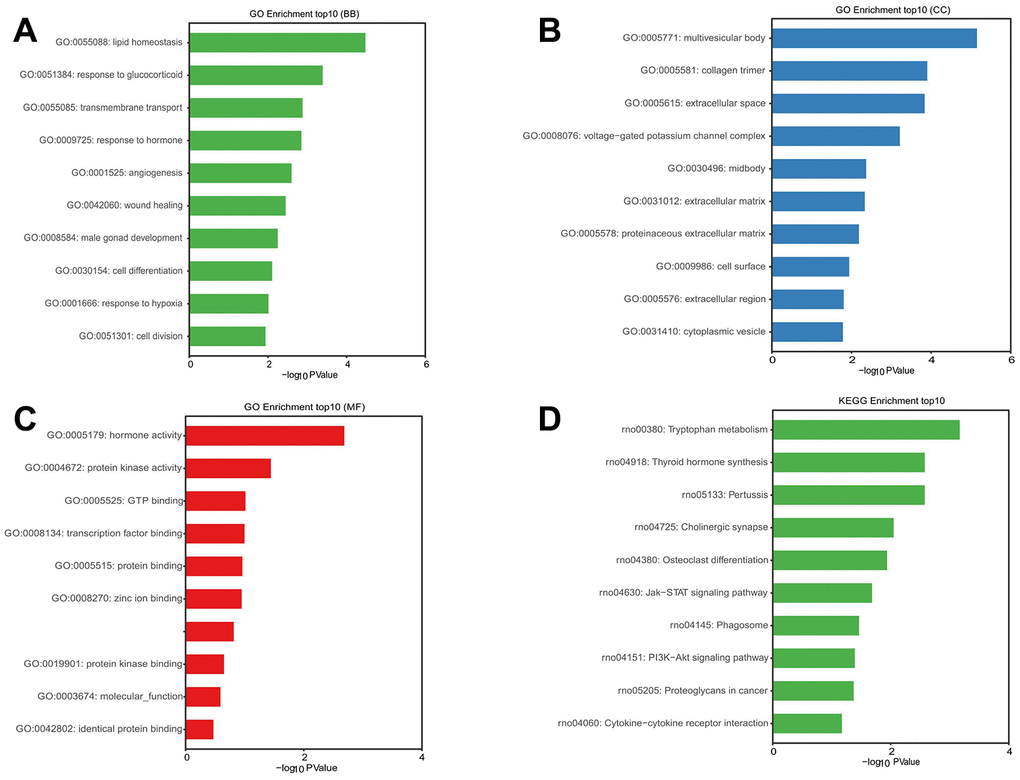 GO and KEGG pathway enrichment analysis of mRNAs in ternary network of lncRNAs-miRNAs-mRNAs.P value P value)) was calculated and visualized to show the enrichment of biological processes (A) the enrichment of cellular components (B) the enrichment of molecular functions (C) and the enrichment of the KEGG functional pathways (D).