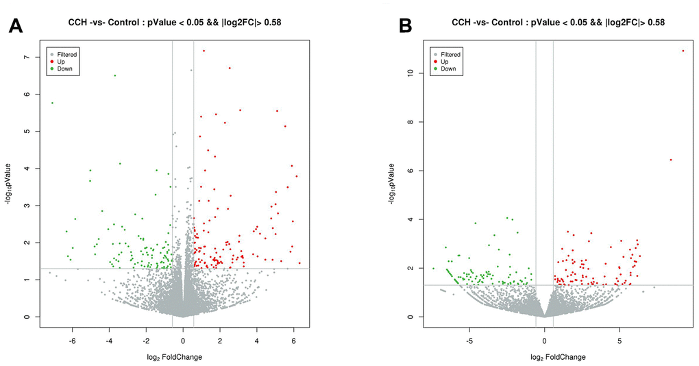 Volcano plot of differentially expressed mRNAs (A) and lncRNAs (B). Normalized fold change and P values (CCH group/sham group) were used to construct the volcano plots. The horizontal and vertical lines represents P value and fold change, respectively. The red and green dots represent statistically significantly upregulated and downregulated mRNAs and lncRNAs. The gray dots represent no statistically significantly altered mRNAs and lncRNAs.