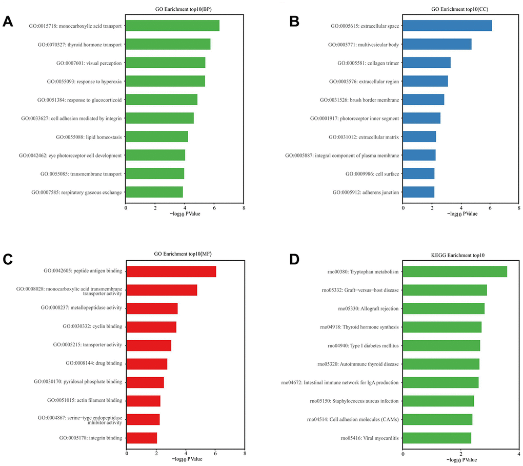 GO and KEGG pathway enrichment analysis of differentially expressed mRNAs. P value P value)) was calculated and visualized to show the enrichment of biological processes (A) the enrichment of cellular components (B) the enrichment of molecular functions (C) and the enrichment of the KEGG functional pathways (D).