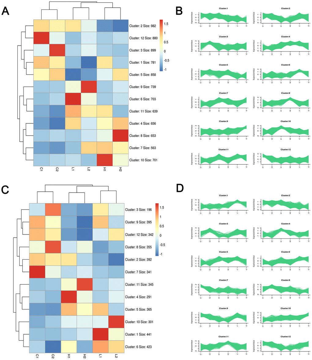 Clustering analysis plots based on Kmeans pattern recognition algorithm. Heatmap and sequence diagram of mRNA (A, B) and LncRNA (C, D) were obtained through EOC sample sequencing data analysis, respectively. Red, blue, and white colors respectively represent the relatively high, low, and equal expression.