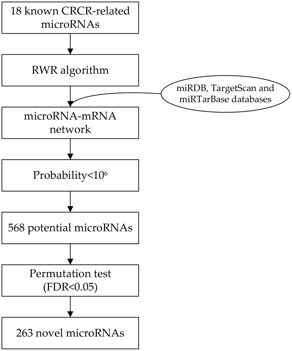 Flowchart of the network-based method to identify radiosensitivity-related microRNAs in colorectal cancer.