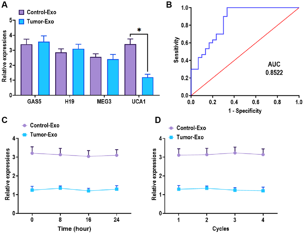 Expression of exosomal UCA1 in patients with esophageal cancer. (A) Expression of exosomal UCA1 from the plasma of patients with esophageal cancer (Tumor) or control subjects (Control). (B) ROC curves analysis of exosomal UCA1. (C) Expression of exosomal UCA1 in the plasma samples placed at room temperature for 0 h, 4 h, 8 h, and 24 h, respectively. (D) Expression of exosomal UCA1 in the plasma samples after 0, 2, 3, 4 freezing-thawing cycles. (*) denotes the difference between groups (P