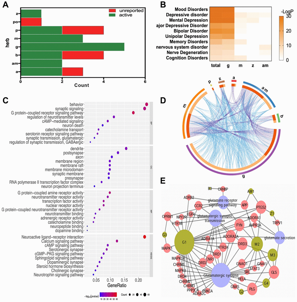 The systematic bioinformatics analysis for antidepressive mechanism of FWP. (A) compounds of FWP included (green) or unreported (red) in NPASS and PubChem database. (B) Enrichment analysis for herb-disease correlation (total: FWP). (C) Functional enrichment analysis on GO and KEGG for targets of FWP. (D) Target overlaps (purple line) and functional interaction (blue line) among targets for each herb in FWP. (E) Compound-Target-Pathway Network for compounds of FWP.