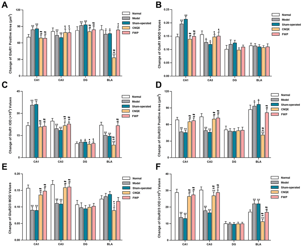 Effects of FWP on AMPA receptor homeostasis in hippocampus and amygdala, in chronic restraint stress induced rat model representing depression with liver-depression and spleen-deficiency syndrome (×400). (A–C) Change of GluR1 positive area (μm2), MOD, and IOD (×103) values. (D–F) Change of GluR2/3 positive area (μm2), MOD, and IOD (×103) values. Results are presented as mean ± SD from 25 sections. *PP#P##P♦P♦♦P