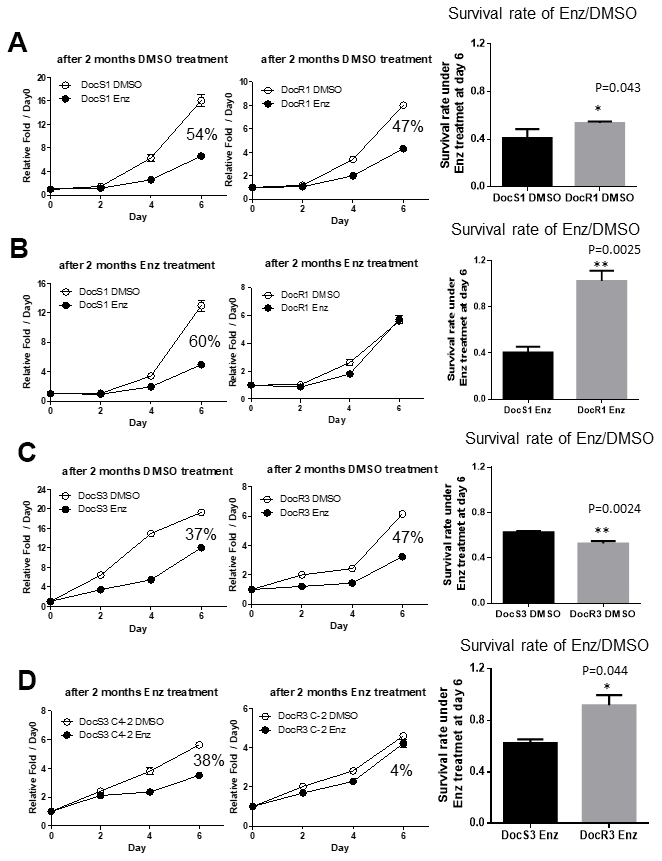 Acquired Doc-resistance increases DocRPC cells development of Enz-resistance after two months of Enz treatment. (A) DocS1