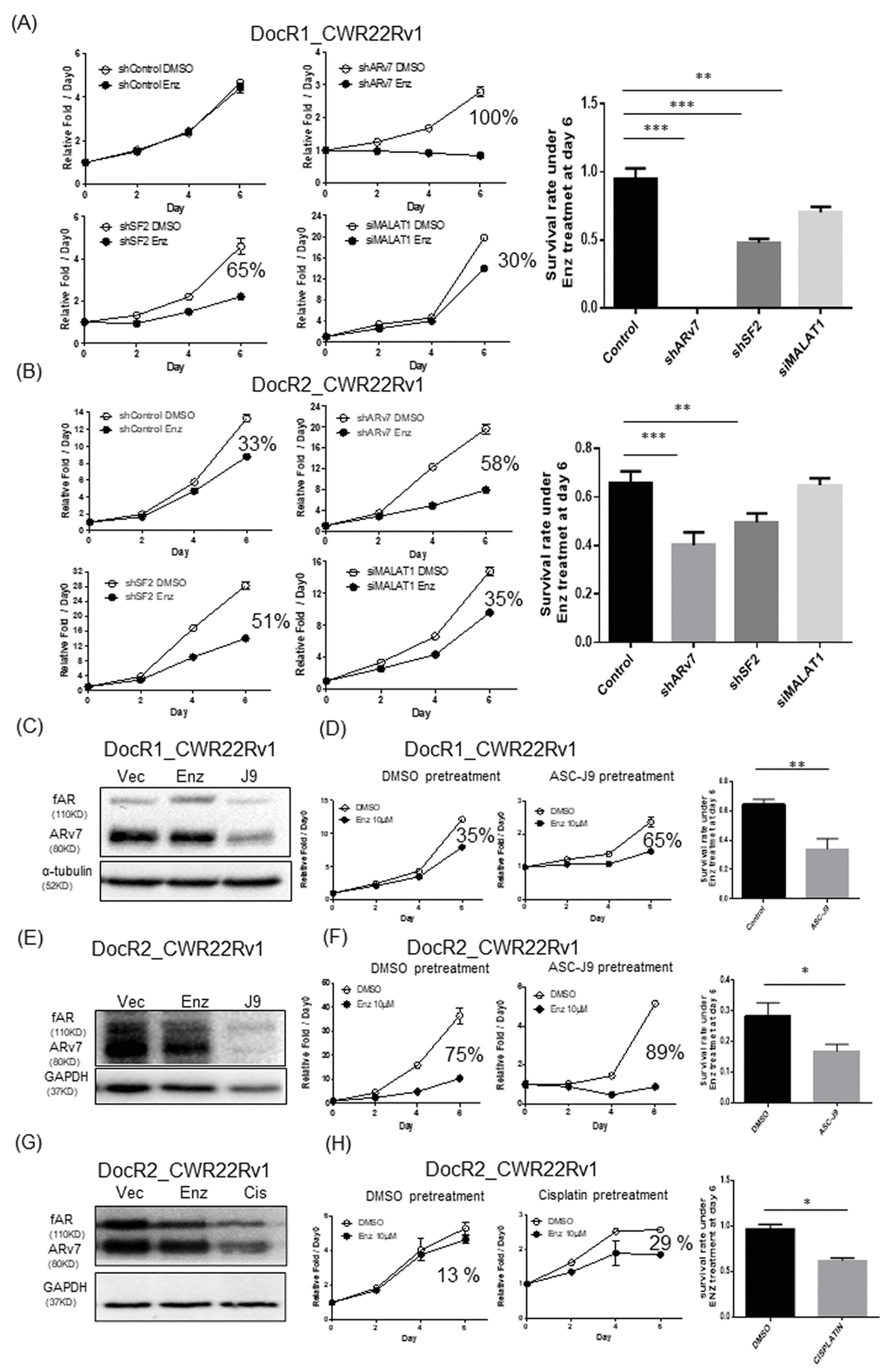 Targeting MALAT1/SF2/ARv7 axis increased the efficacy of Enz to further suppress the DocR