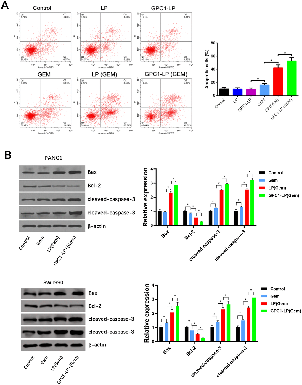 GPC1-LP (GEM) induced cell apoptosis in PANC-1 cells and SW1990 cells. (A) Cell apoptosis rate of PANC-1 cells treated with PBS (control), LP, GPC1-LP, GEM, LP (GEM) and GPC1-LP (GEM) by flow cytometry analysis. (B) The expression of apoptosis-related proteins (Bcl-2, Bax, cleaved-caspase-3, and cleaved-caspase-9) in PANC-1 cells and SW1990 cells treated with PBS (control), GEM, LP (GEM) and GPC1-LP (GEM) by western blotting. *p