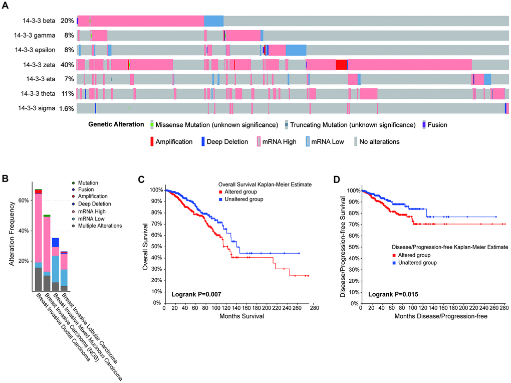 Correlation between the genetic alterations of 14-3-3 and prognosis. (A) Oncoprint in the cBioPortal database showed the proportion and distribution of specimens with genetic alterations of 14-3-3 isoforms. (B) Box plot showing the proportion and distribution of 14-3-3 isoforms in BrCa subtypes. (C) OS curves were plotted to evaluate the prognostic impacts of 14-3-3 isoform mutations. (D) DFS curves were plotted to evaluate the prognostic impacts of 14-3-3 isoform mutations.