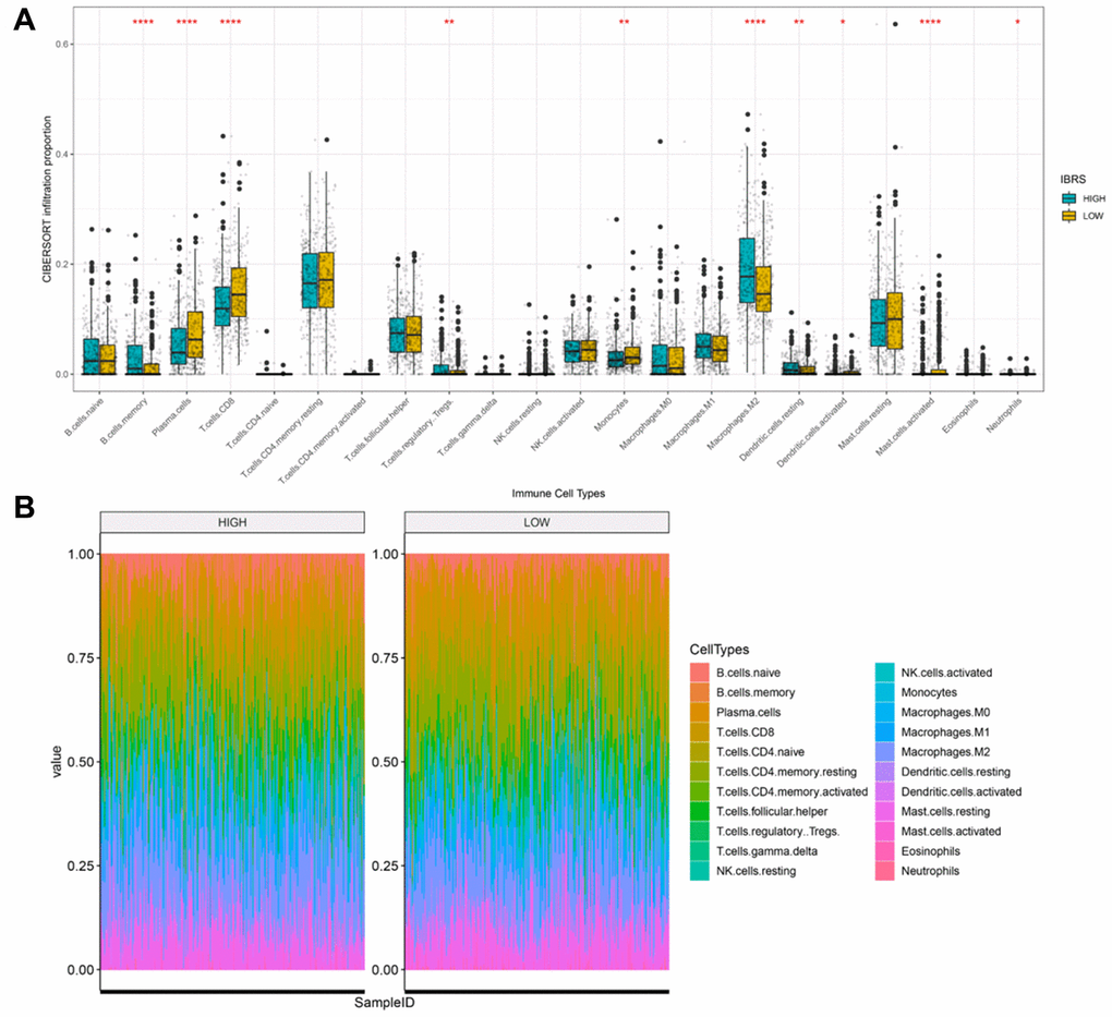 Cibersort was used to calculate infiltration scores for 22 immune cell types based on the TCGA prostate cancer expression profile. (A) Infiltration differences (ratio) in high and low risk groups. ****pB) Infiltration profiles in the high and low risk groups.