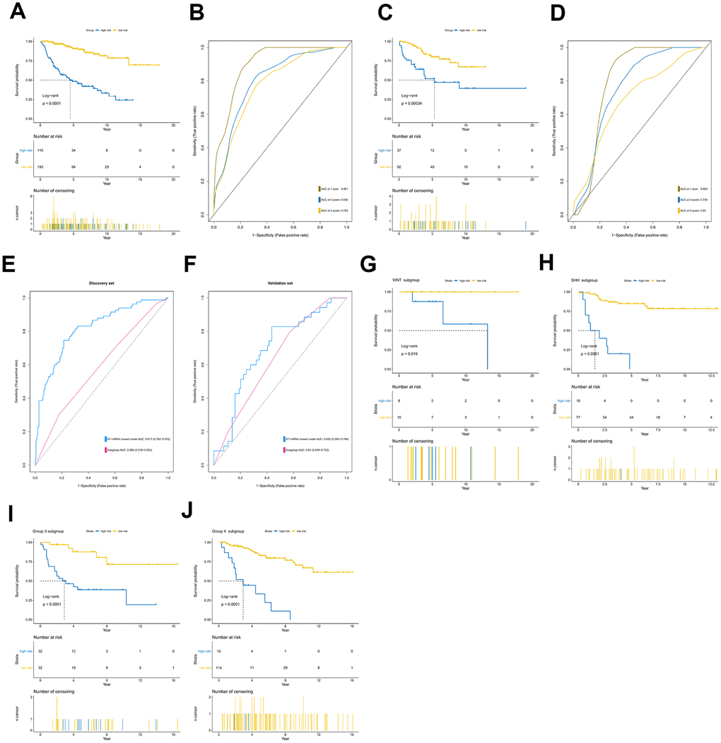 Prognostic value of the 47-mRNA metastasis-related model. The Kaplan-Meier (K-M) curves show the OS of the high- and low-risk patients with MB classified by the optimal cutoff value. (A) K-M curves for the discovery set. (B) ROC curves for the 47-mRNA-based model in the discovery set. (C) K-M curves for the validation set. (D) ROC curves for the 47-mRNA-based model in the validation set. (E) The comparison of the area under the ROC of the 47-mRNA-based model versus that of subgroup in the discovery set. (F) The comparison of the area under the ROC of the 47-mRNA-based model versus that of subgroup in the validation set. (G) K-M curves showing the OS for the high- and low-risk patients with WNT MB using the 47-mRNA-based model in the discovery set. (H) K-M curves showing the OS for the high- and low-risk patients with SHH MB using the 47-mRNA-based model in the discovery set. (I) K-M curves showing the OS for the high- and low-risk patients with group 3 MB using the 47-mRNA-based model in the discovery set. (J) K-M curves showing the OS for the high- and low-risk patients with group 4 MB using the 47-mRNA-based model in the discovery set.