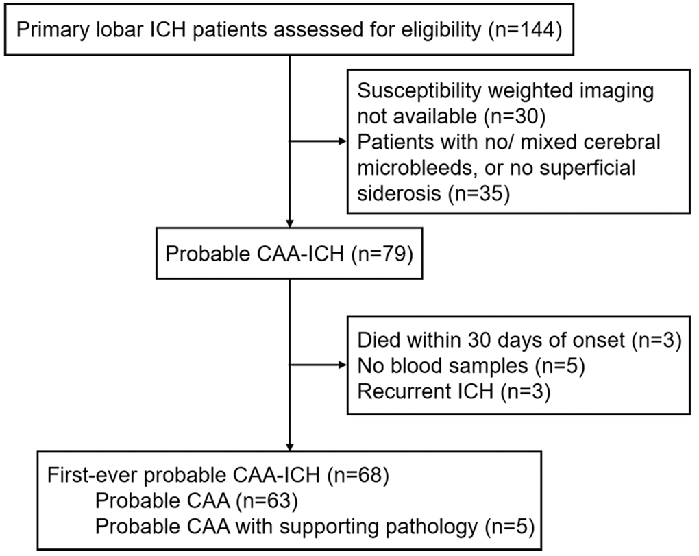 Study flow chart. Abbreviations: ICH, intracerebral hemorrhage; CAA, cerebral amyloid angiopathy.