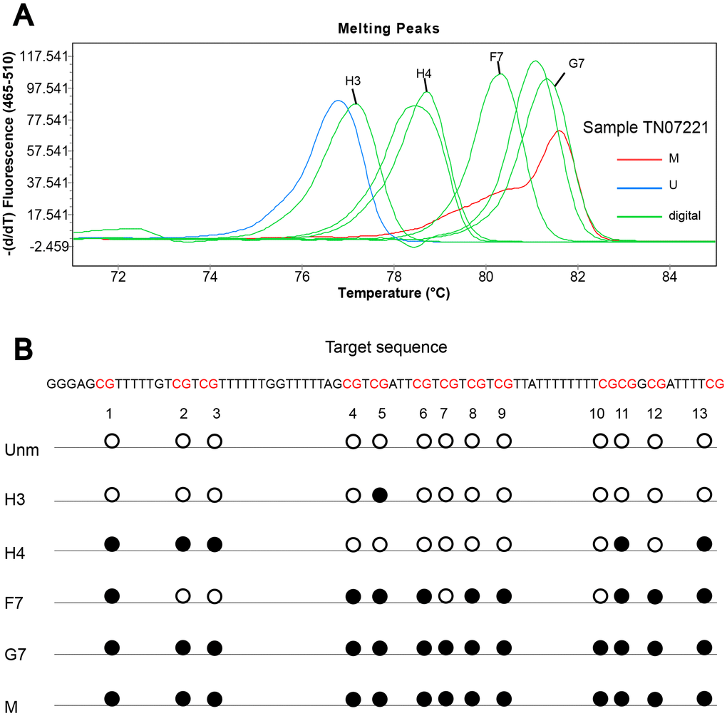 Sanger sequencing of digitally obtained clones from sample TN07221. (A) Products numbered H3, H4, F7 and G7 were sequenced; (B) solid circle and hollow circle illustrate methylated and unmethylated CpG sites, respectively.