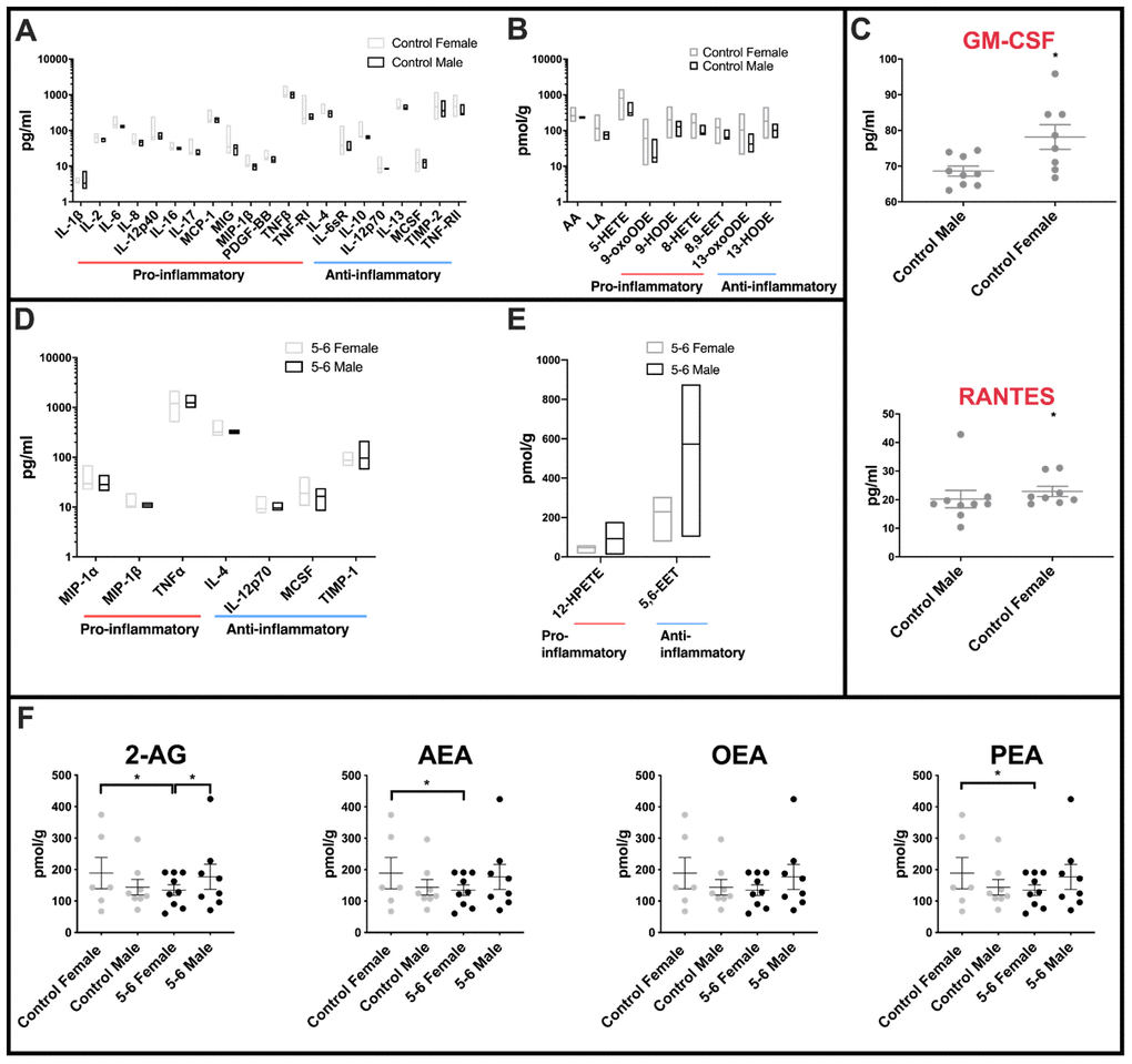 Sex differences in inflammatory profiles of cerebellar mitochondria. (A) Cerebellar mitochondria of female controls have highly variable inflammatory cytokine expression compared with male controls. Twenty-one inflammatory cytokines showed significantly different variance between female and male controls. Twenty of these were significantly more variant in females. Control male n=9; control female n=8. (B) Oxylipin variance is significantly greater in cerebellar mitochondria of female controls than male controls. Female controls have significantly greater variance in nine oxylipins. Male control cerebellar mitochondrial oxylipin levels are less variant within the group. Control male n=5; control female n=5. (C) Two inflammatory cytokines are significantly increased in female compared to male controls. RANTES and GM-CSF were significantly increased in mean levels in female controls compared to male controls. Control male n=9; control female n=8. (D) Cerebellar mitochondria from PD Braak 5-6 females have greater variability in inflammatory cytokine expression than the Braak 5-6 males. Six of seven significant inflammatory cytokines showed higher variance in the PD Braak 5-6 female group than PD Braak 5-6 males. PD Braak 5-6 male n=10; PD Braak 5-6 female n=9. (E) PD Braak 5-6 males and females show little variance in all but two cerebellar mitochondrial oxylipin levels. Two oxylipins have significantly higher variance values in PD Braak 5-6 males than females. PD Braak 5-6 male n=5; PD Braak 5-6 female n=5. All samples were age matched. A, B, D and E present inflammatory cytokine and oxylipins with significantly different variances (f-test). Refer to Supplementary Tables 4 and 6 for f values of oxylipins and inflammatory cytokines, respectively. Box plots display interleaved high and low. The horizontal line represents the mean. C shows significantly altered cytokines. Red title font represents pro-inflammatory cytokine. Displayed are mean levels ± SEM. (Mann-Whitney U-test). Refer to Supplementary Table 5 for p values. (F) Endocannabinoid variance is reduced in PD Braak 5-6 females. Female control group has heterogenous quantities of 2-AG, AEA and PEA compared with PD Braak 5-6 female group. Males do not show significant variation in endocannabinoid levels. Statistical analyses were carried out using GraphPad Prism (f-test). No significant differences were seen between the means of the groups (Kruskal-Wallis test with multiple comparison’s). Braak 5-6 male n=8; Braak 5-6 female n=9; control male n=8; control female n=6. All samples were age matched. Plots display mean ±SEM. Bars above plots represent statistically significant differences. Refer to Supplementary Table 7 for p and f values.