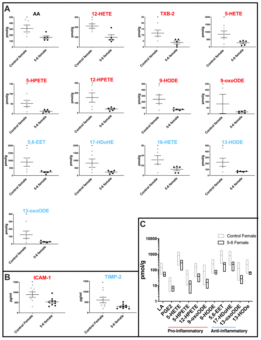 Molecular profiling of inflammation in female PD cerebellar mitochondria. (A) Oxylipin levels are lower in cerebellar mitochondria of PD Braak 5-6 females. Twelve oxylipin species and arachidonic acid are significantly reduced in the cerebellar mitochondria of females with PD Braak 5-6 when compared with controls. All samples were age matched. Braak 5-6 female n=5; control female n=5. (B) Two inflammatory cytokines are significantly lower in cerebellar mitochondria of PD Braak 5-6 females. ICAM-1 and TIMP-2 were significantly reduced in cerebellar mitochondria of PD Braak 5-6 females compared with female controls. Braak 5-6 female n=9; control female n=8. Plots display mean levels ± SEM. Red/blue titles represent pro- /anti-inflammatory, respectively. Refer to Supplementary Tables 3 and 5 for p values of oxylipins and inflammatory cytokines, respectively (Mann-Whitney U-test). (C) There is more variation in oxylipin content from cerebellar mitochondria of the female control group than the PD Braak 5-6 group. The female control group had significantly greater variance in eleven oxylipin quantities than PD Braak 5-6 females. PD Braak 5-6 female n=5; control female n=5. Box plots display interleaved high and low. The horizontal line represents the mean. Refer to Supplementary Table 4 for f values.