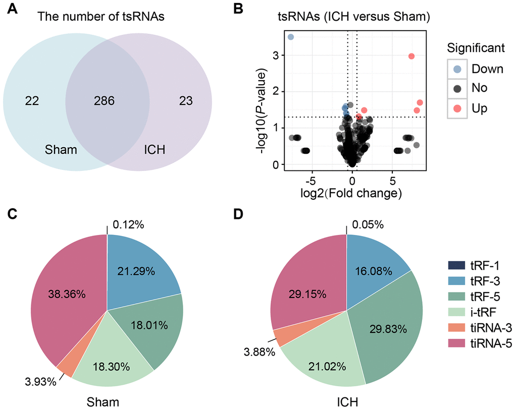 tsRNAs were highly enriched in the ICH rat brain. (A) Venn plot to show the identified tsRNA numbers in the brain tissues of sham and ICH. We totally identified 331 tsRNAs (308 in the sham group and 309 in the ICH). (B) Volcano plot of tsRNA comparison between the ICH and sham. The red points denoted five up-regulated tsRNAs and the blue ones denoted seven down-regulated ones (with the standard of fold change >1.5 and PC) and ICH (D) groups. TPM indicates the tag counts per million of total aligned tRNA reads, representing the tsRNA expression levels.