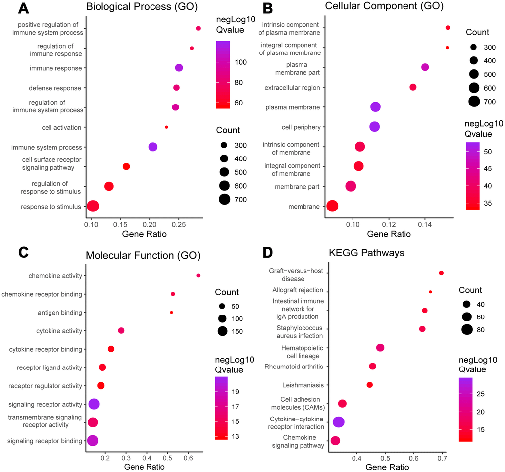 GO term and KEGG pathway analysis for all DEGs. Top 10 GO terms. False discovery rate (FDR) of GO analysis was acquired from STRING database. p A) biological process, (B) cellular component, (C) molecular function, and (D) KEGG pathway.