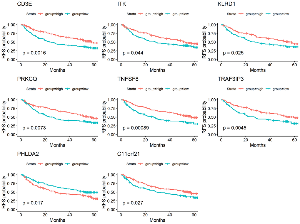 Validation of DEGs extracted from TCGA database with disease-free survival in GEO cohort. Kaplan-Meier survival curves were generated for selected DEGs extracted from the comparison of groups of high (red line) and low (blue line) gene expression. p